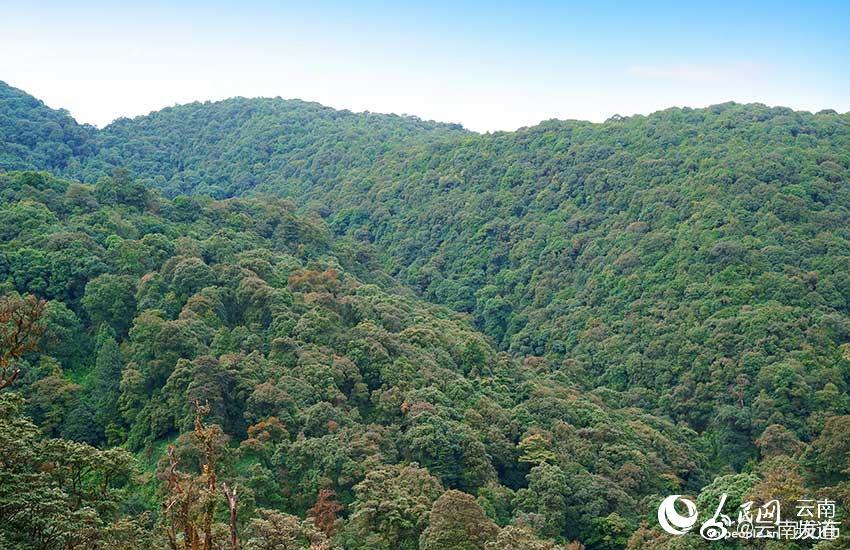 “云南发布”微博