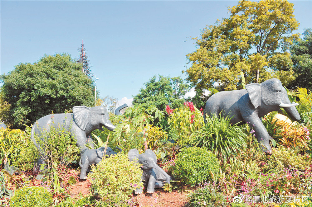 “滇池旅游度假区”微博