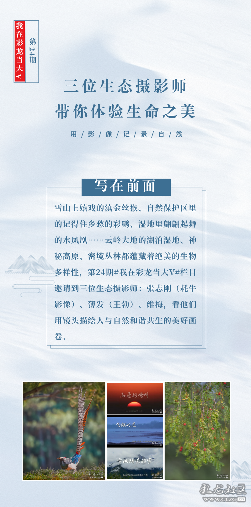 昆明信息港(微信)