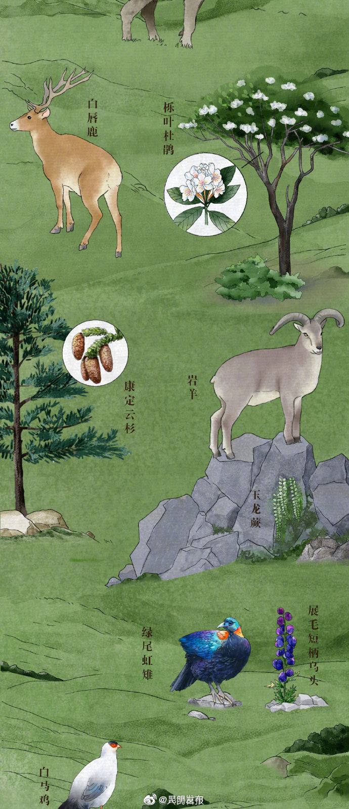 “昆明发布”微博