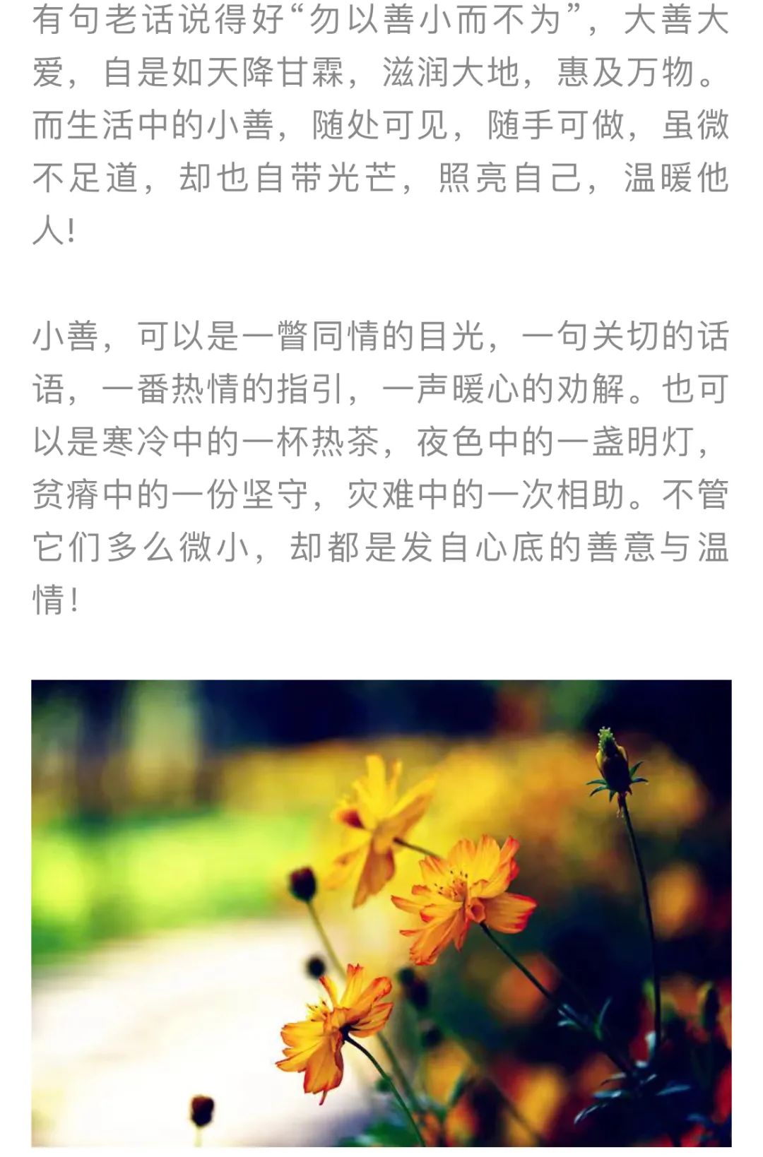 红色扎西(微信)