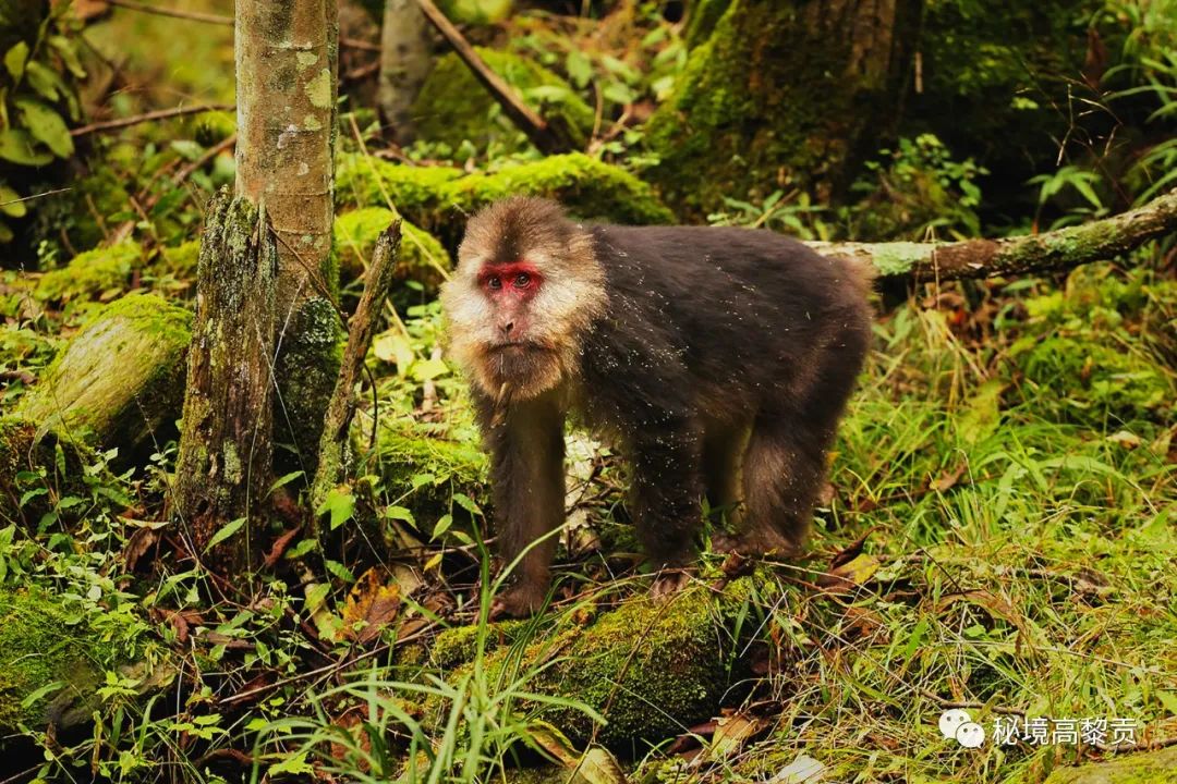 云南广播电视台(微信)