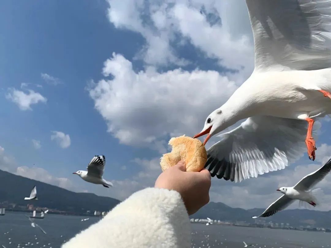 昆明铁路(微信)