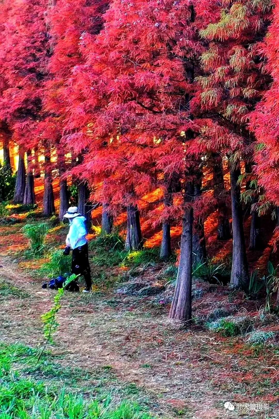 昆明滇池国家旅游度假区管理委员会(微信)