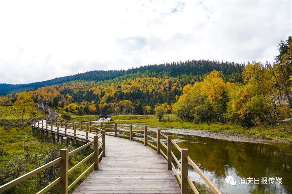 迪庆日报传媒(微信)