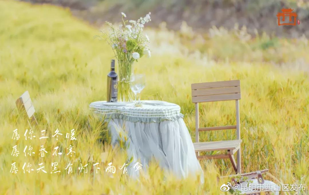 “昆明市西山区发布”微博