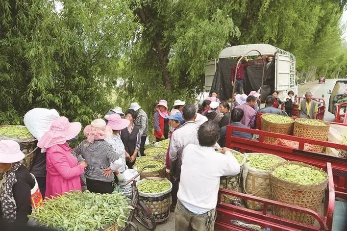 大理日报(微信)