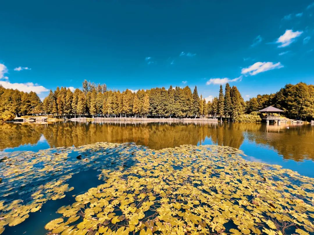 昆明滇池国家旅游度假区管理委员会(微信)