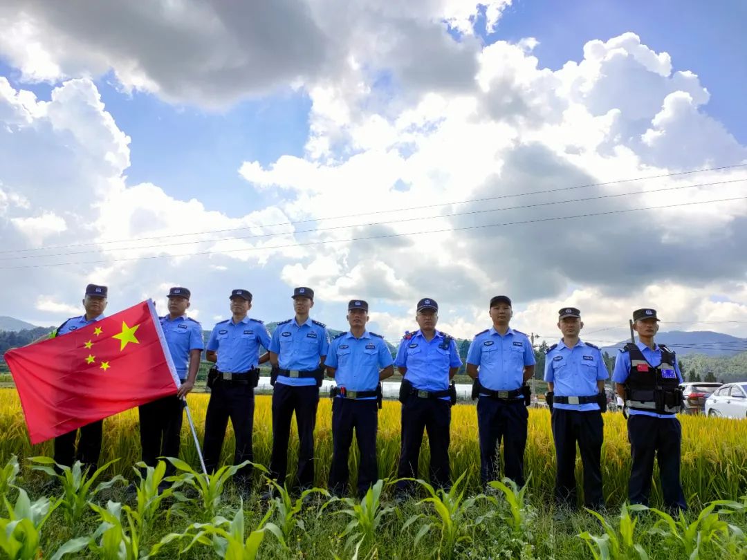 云南政法(微信)