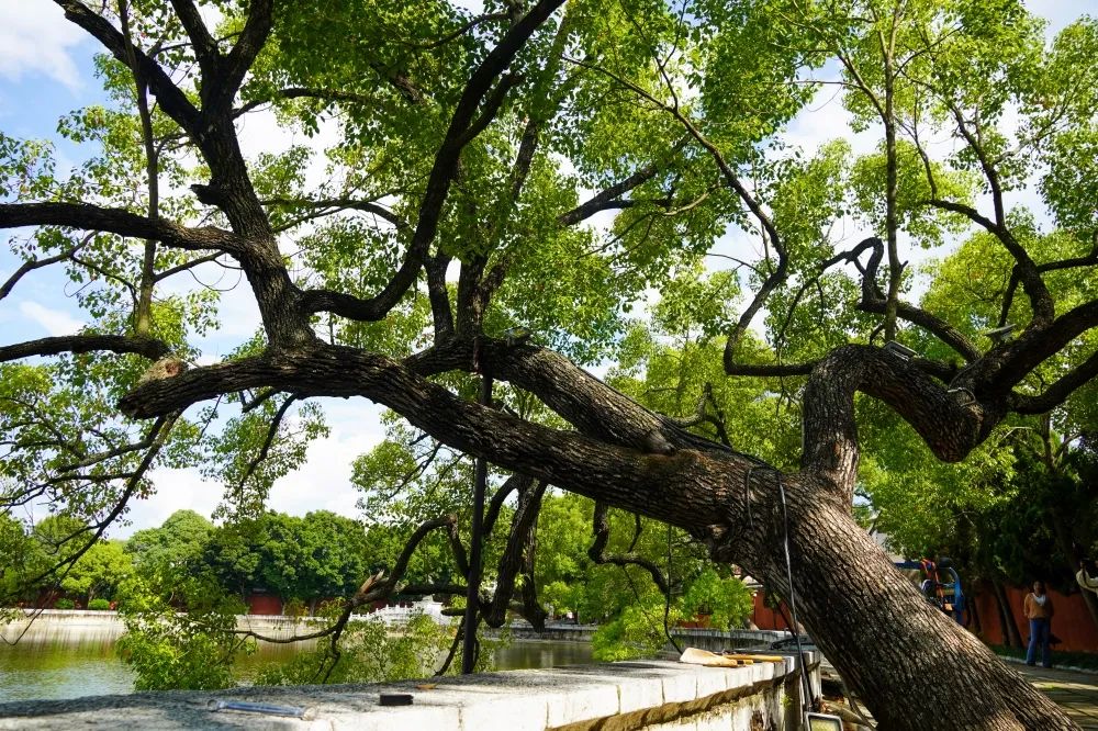 红河文旅(微信)