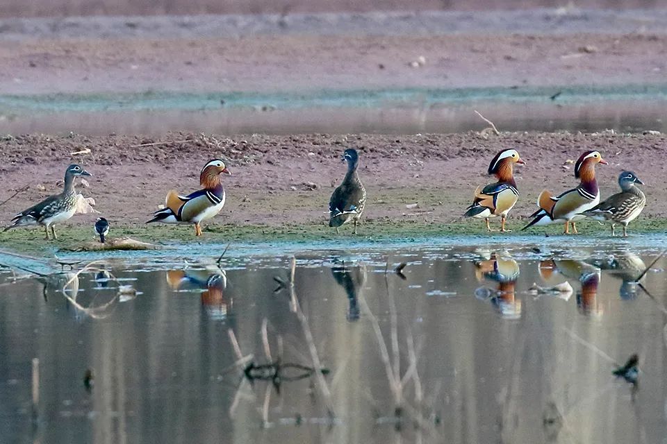 云南广播电视台(微信)