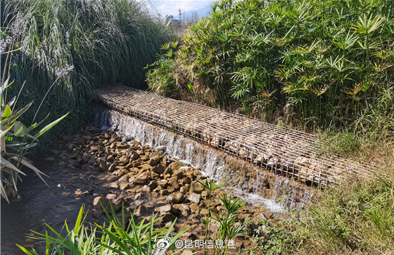 昆明信息港微博