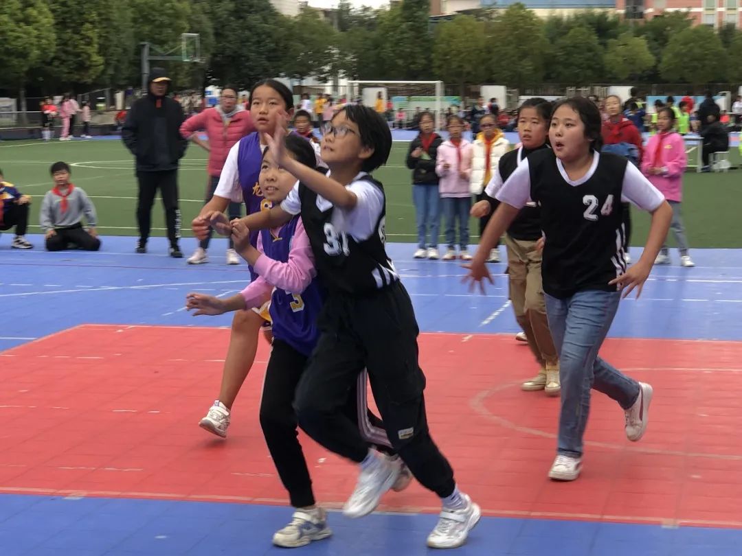 盘龙教育(微信)