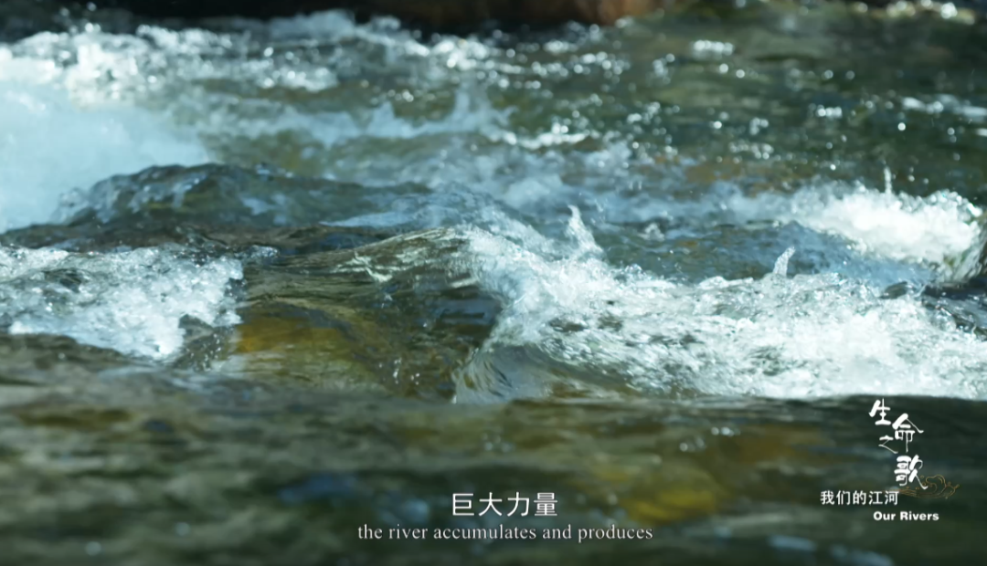 云南广播电视台(微信)