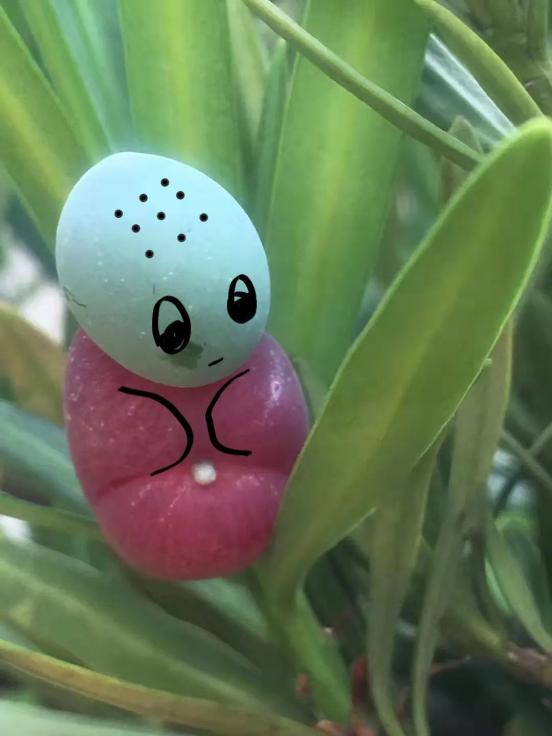 红河文旅(微信)