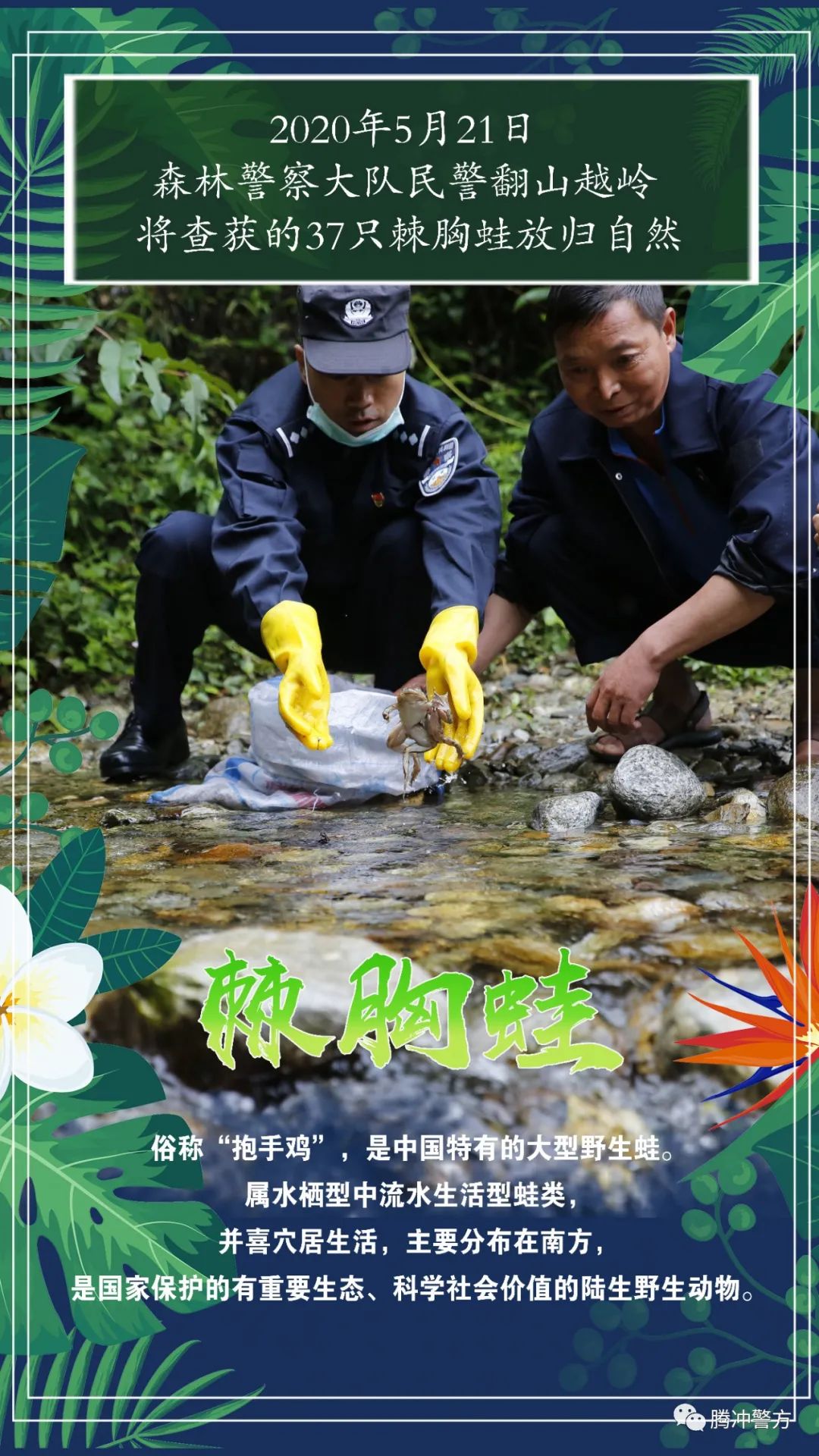 保山新闻网(微信)