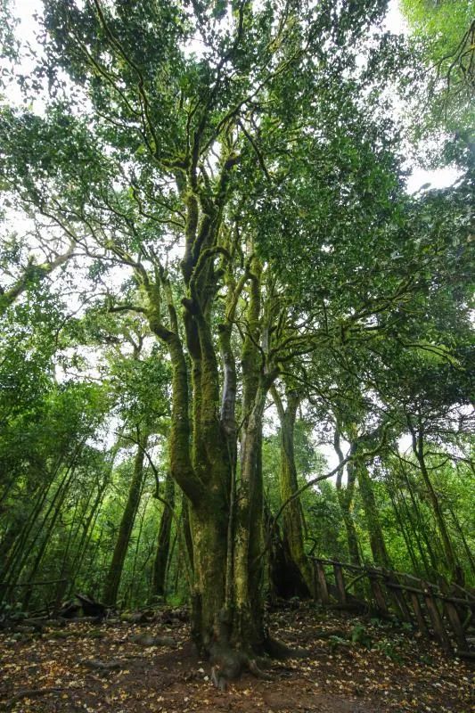 云南广播电视台(微信)