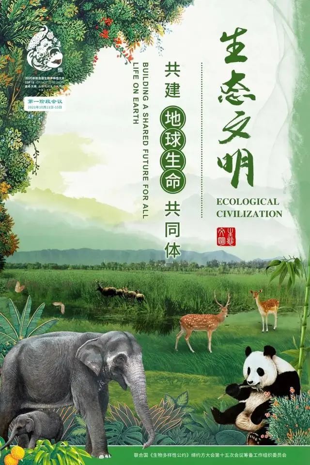 昆明铁路(微信)