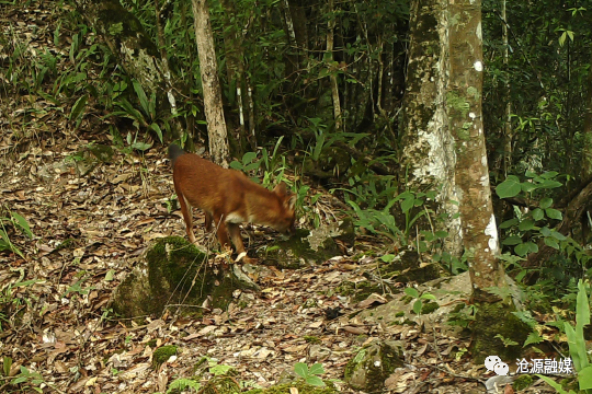 云南广播电视台(微信)