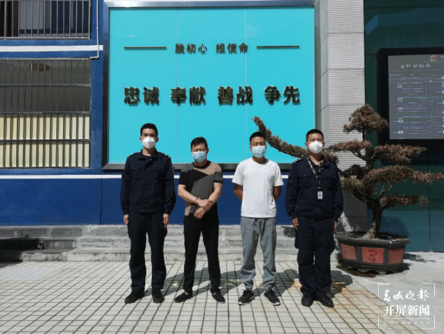 春城晚报(微信)