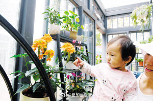 昆明信息港微博