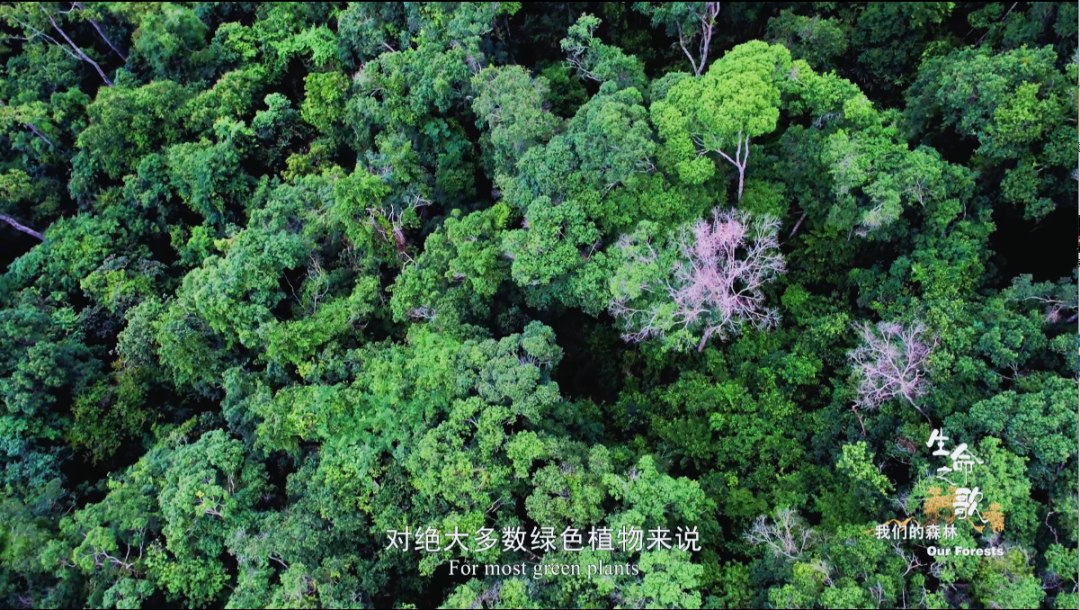 云南广播电视台(微信)
