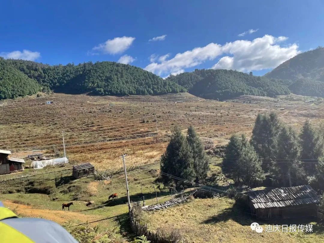 迪庆日报传媒(微信)