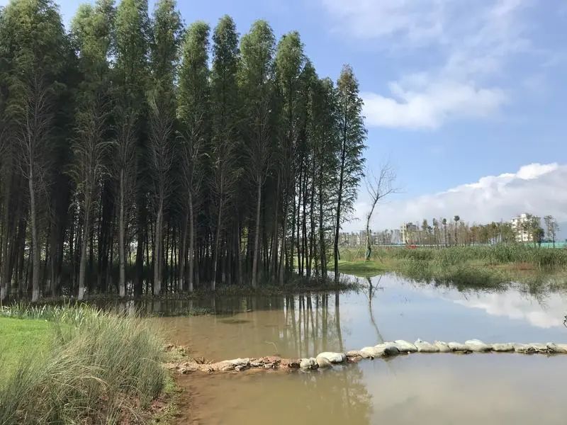 盘龙共青团(微信)