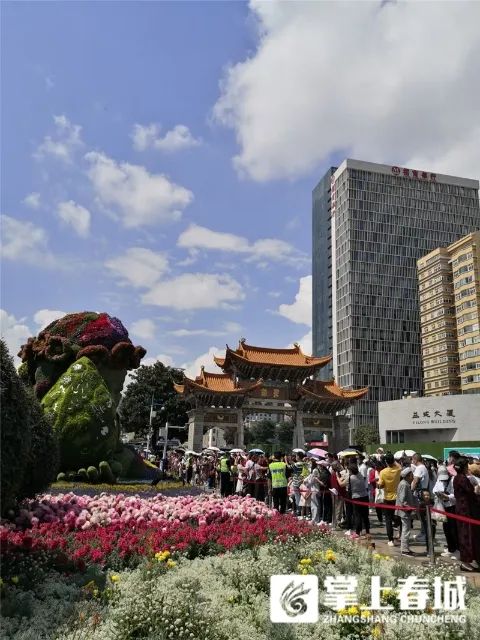 春城晚报(微信)