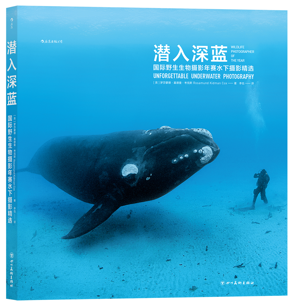 云南省博物馆(微信)