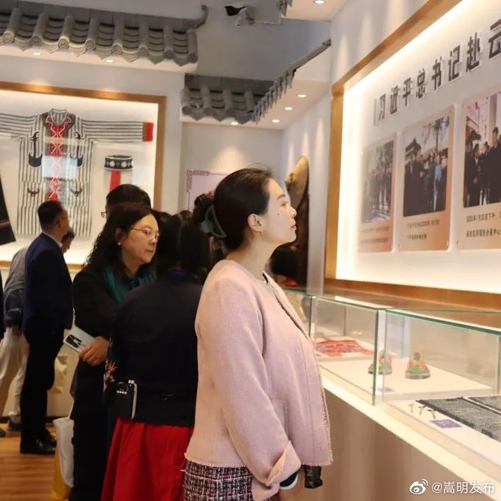 嵩明发布