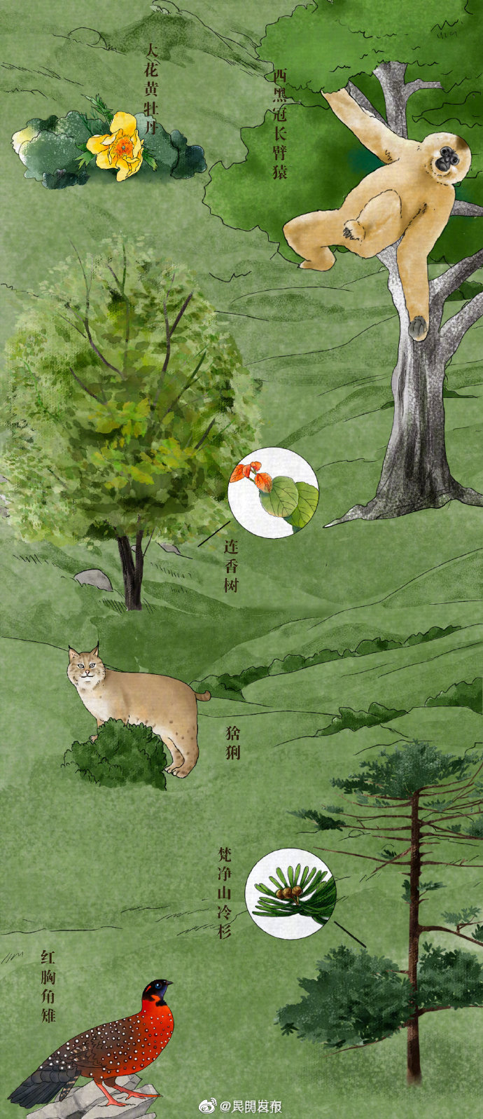 “昆明发布”微博