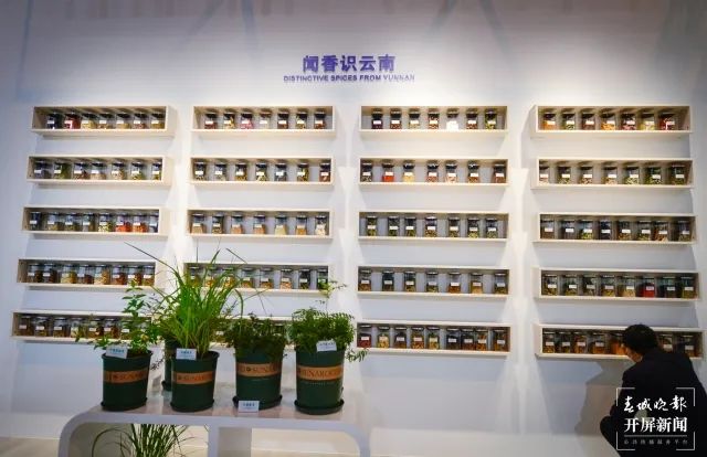 春城晚报(微信)