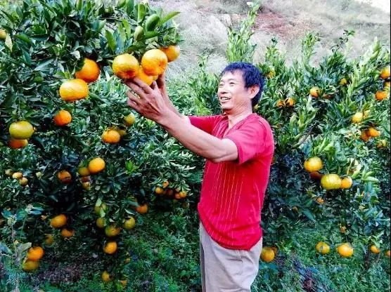 昆明市农业农村局