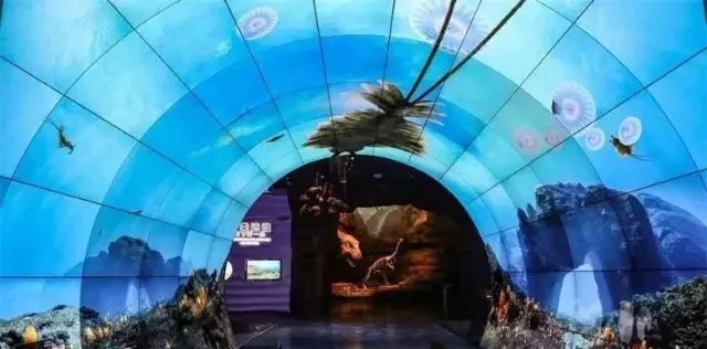 春城晚报(微信)