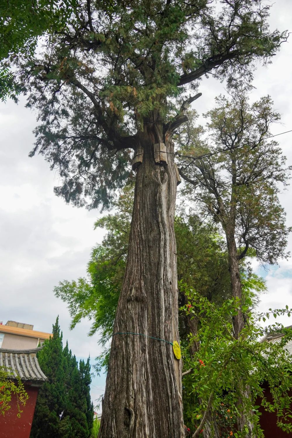 红河文旅(微信)