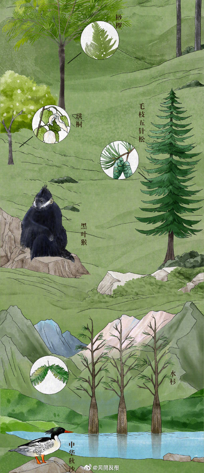 “昆明发布”微博