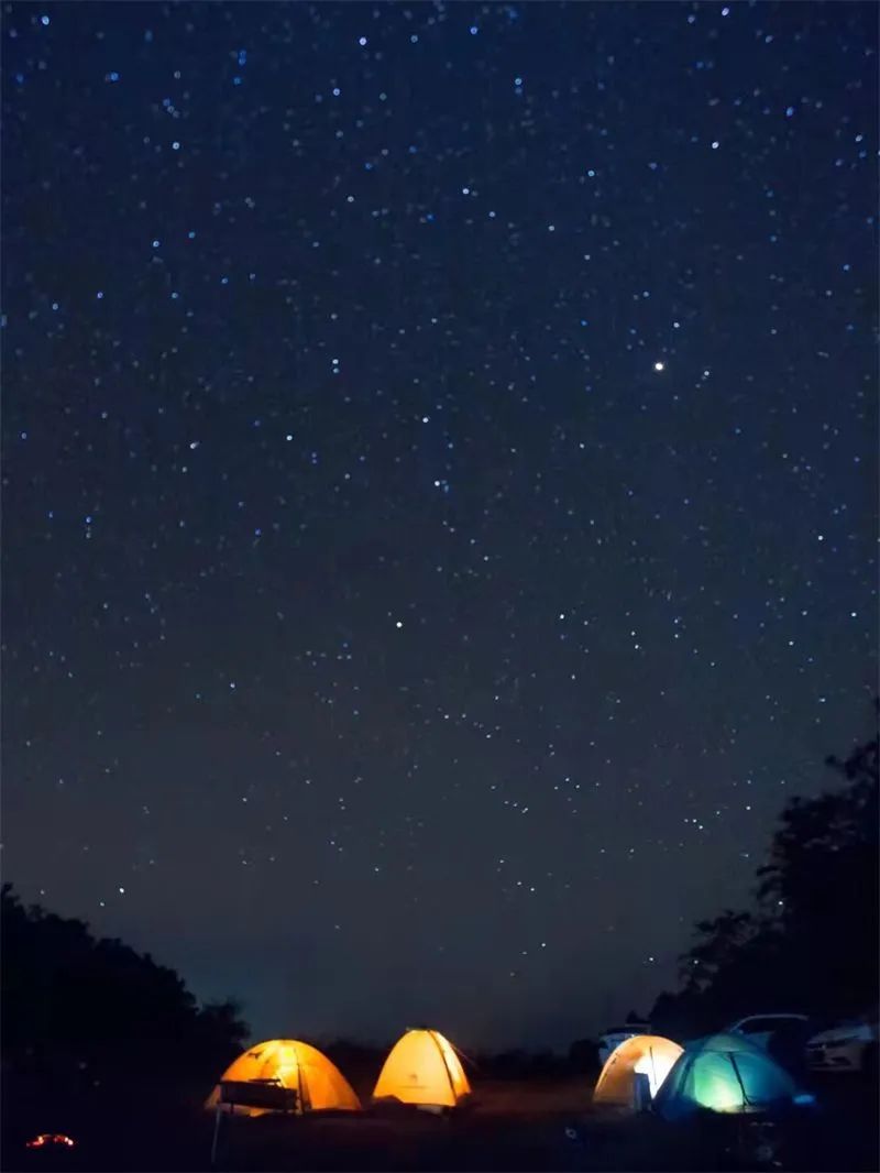普洱日报