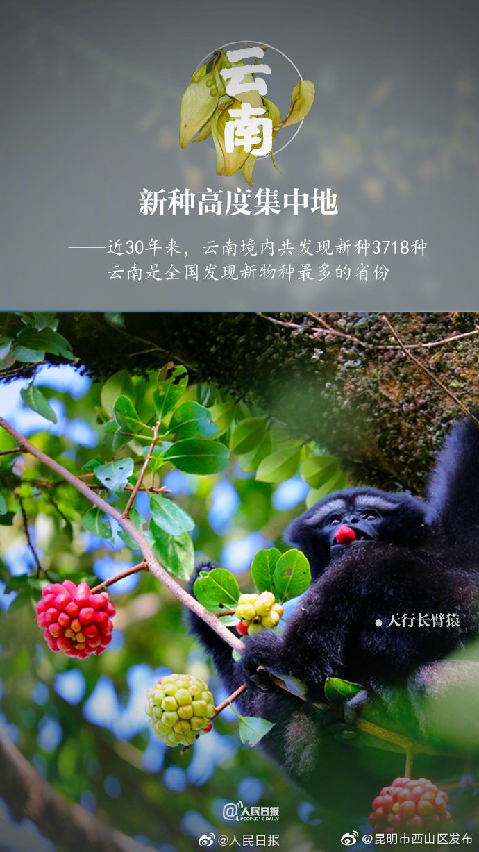 “昆明市西山区发布”微博