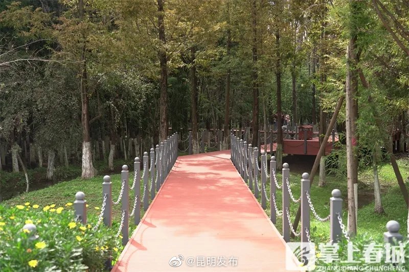 “昆明发布”微博