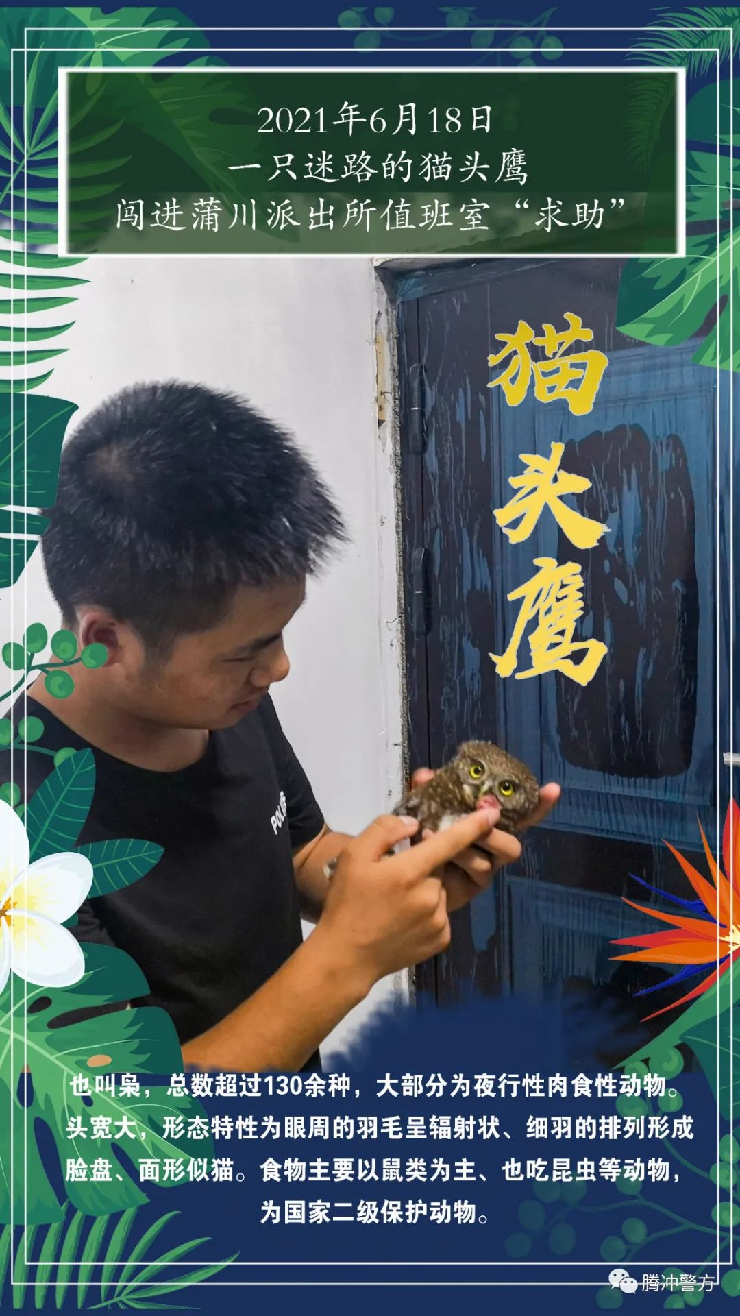 保山新闻网(微信)