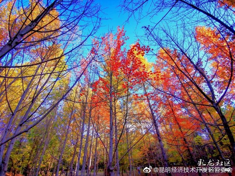 “昆明经济技术开发区管委会”微博