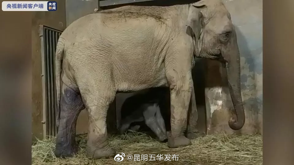 “昆明五华发布”微博