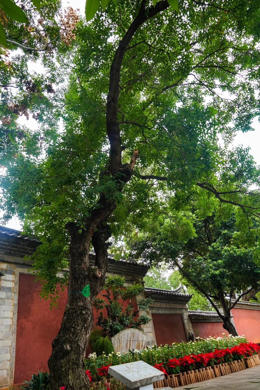 红河文旅(微信)