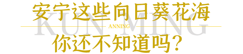 昆明发布(微信)