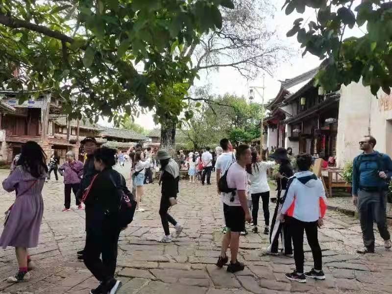 大理日报(微信)