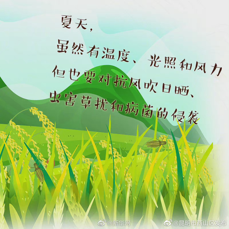 “昆明市西山区发布”微博