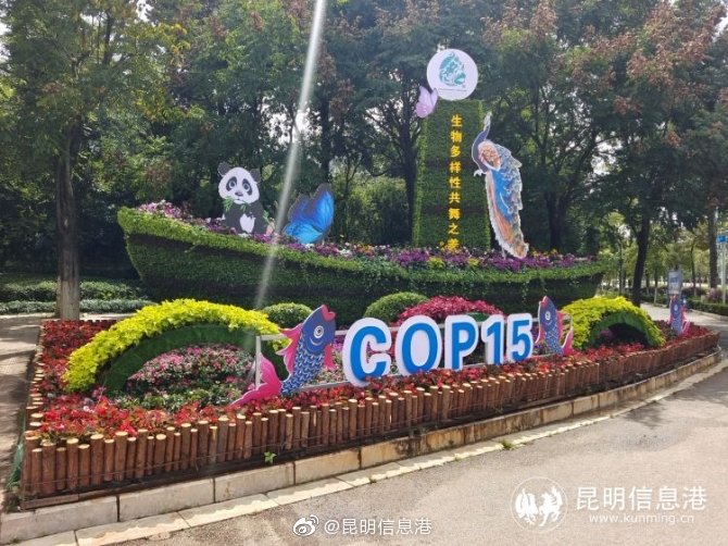 昆明信息港微博