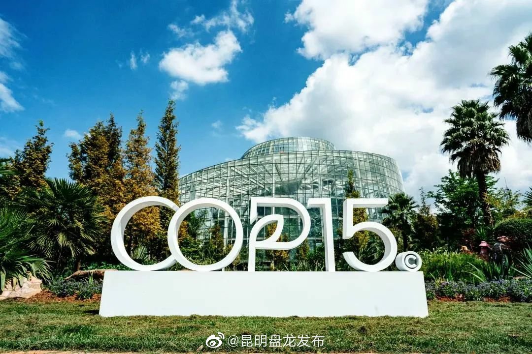 今起开放！打卡“扶荔宫”这些要注意，可别白跑了……