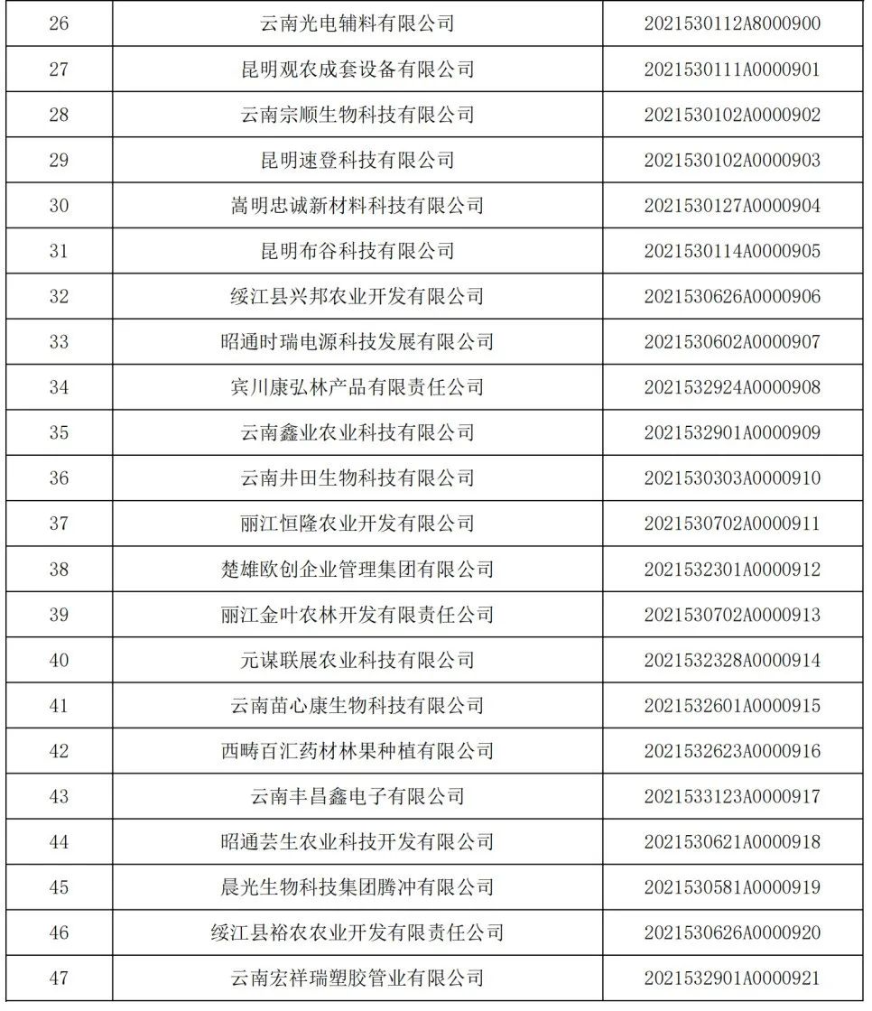 云南省人民政府网